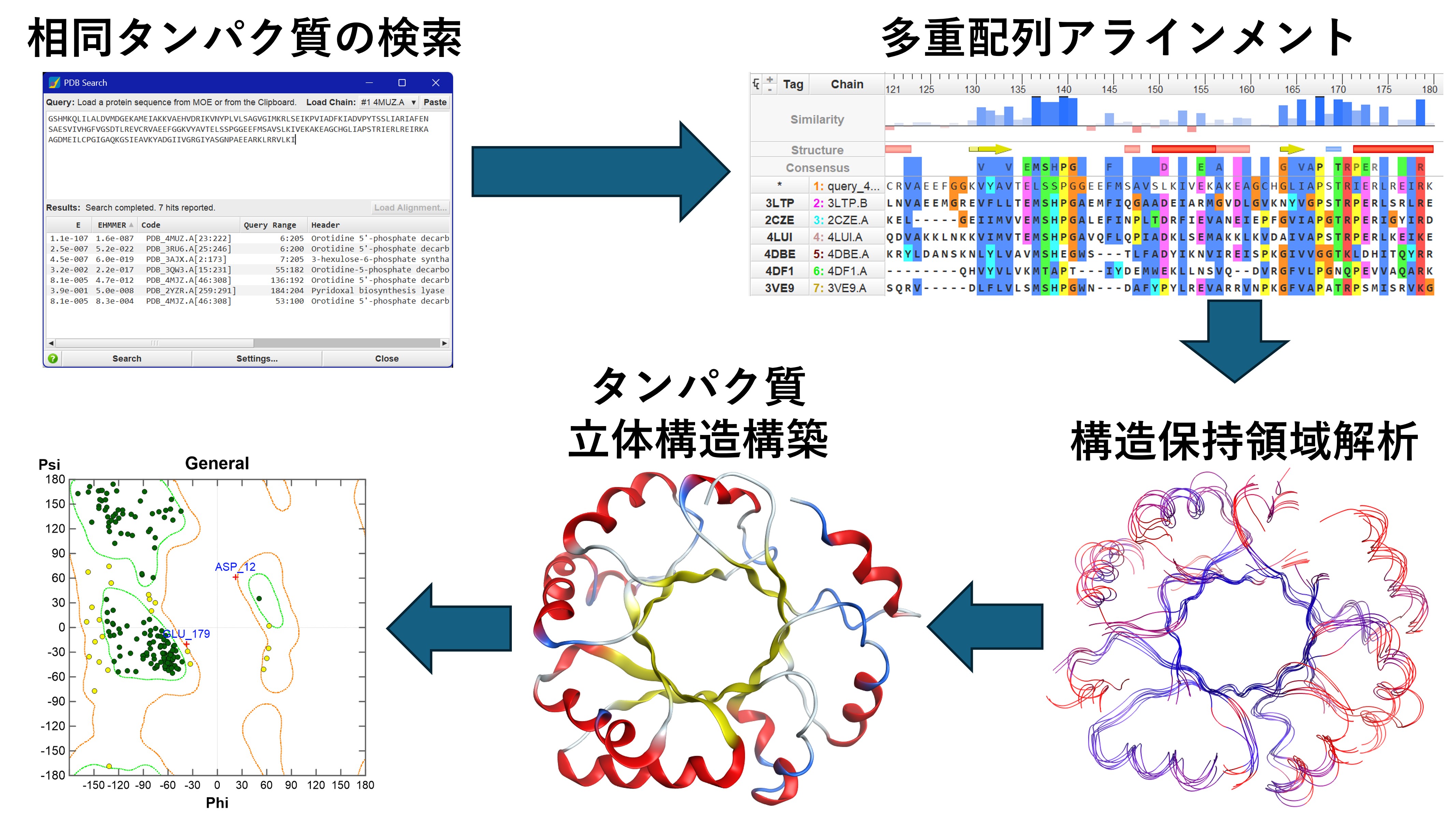 moe_protein_homology